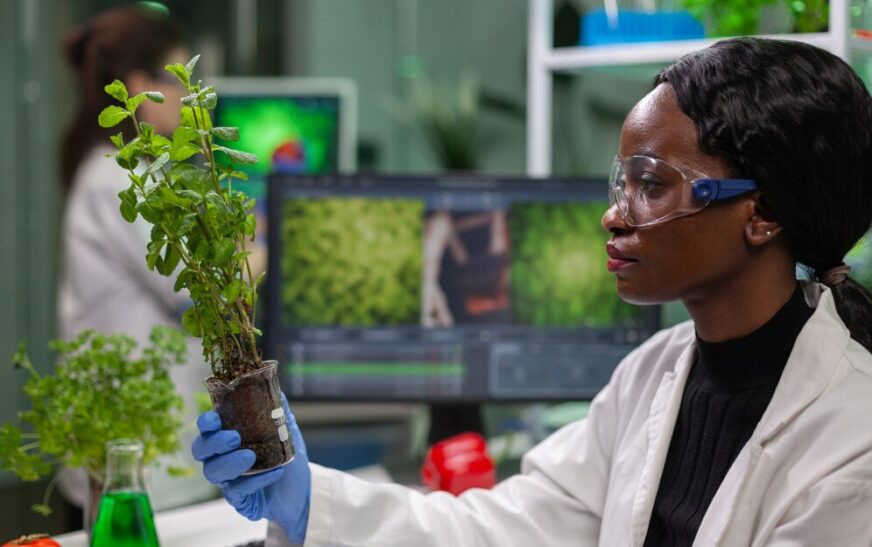 Environmental Scientists’ Salaries Across the United States in 2025